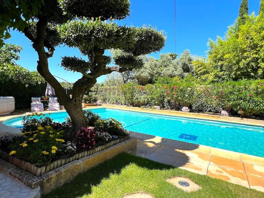 Le Jardin De Mae Bouc-Bel-Air Exterior foto